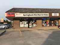 Springbank Mini Mart & Video Southcrest Postal Outlet