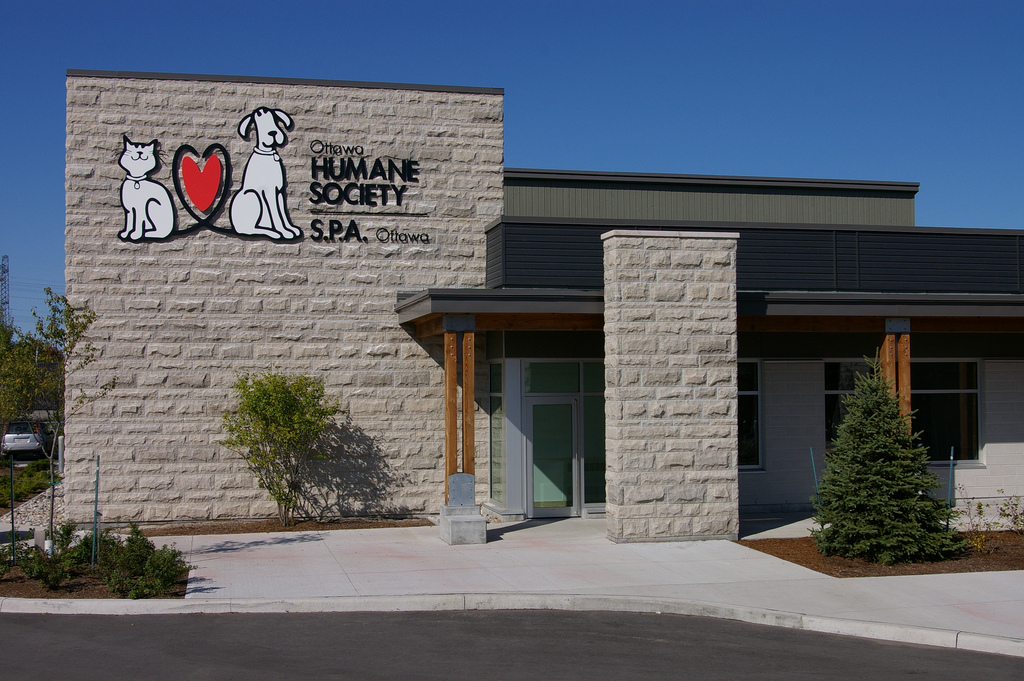 OTTAWA HUMANE SOCIETY Ottawa ON Hours Directions Reviews Loc8NearMe ottawa-humane-society-ottawa-on-hours-directions-reviews-loc8nearme
