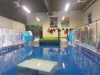 The Indoor Dog Pool & Fitness Centre Inc.
