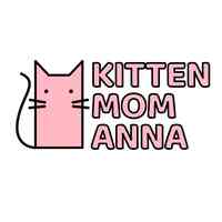Kitten Mom Anna