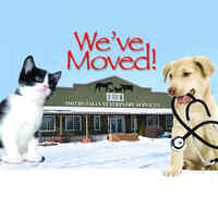 Smiths Falls Veterinary Services