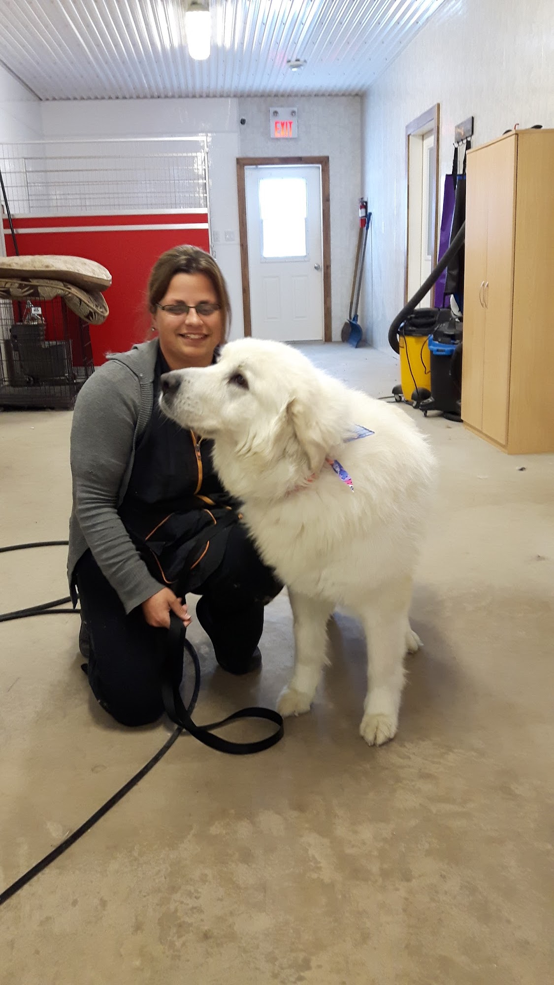 Perfect Paws Dog Grooming & Boarding 8318 Scotchmere Dr, Strathroy Ontario N7G 3H3