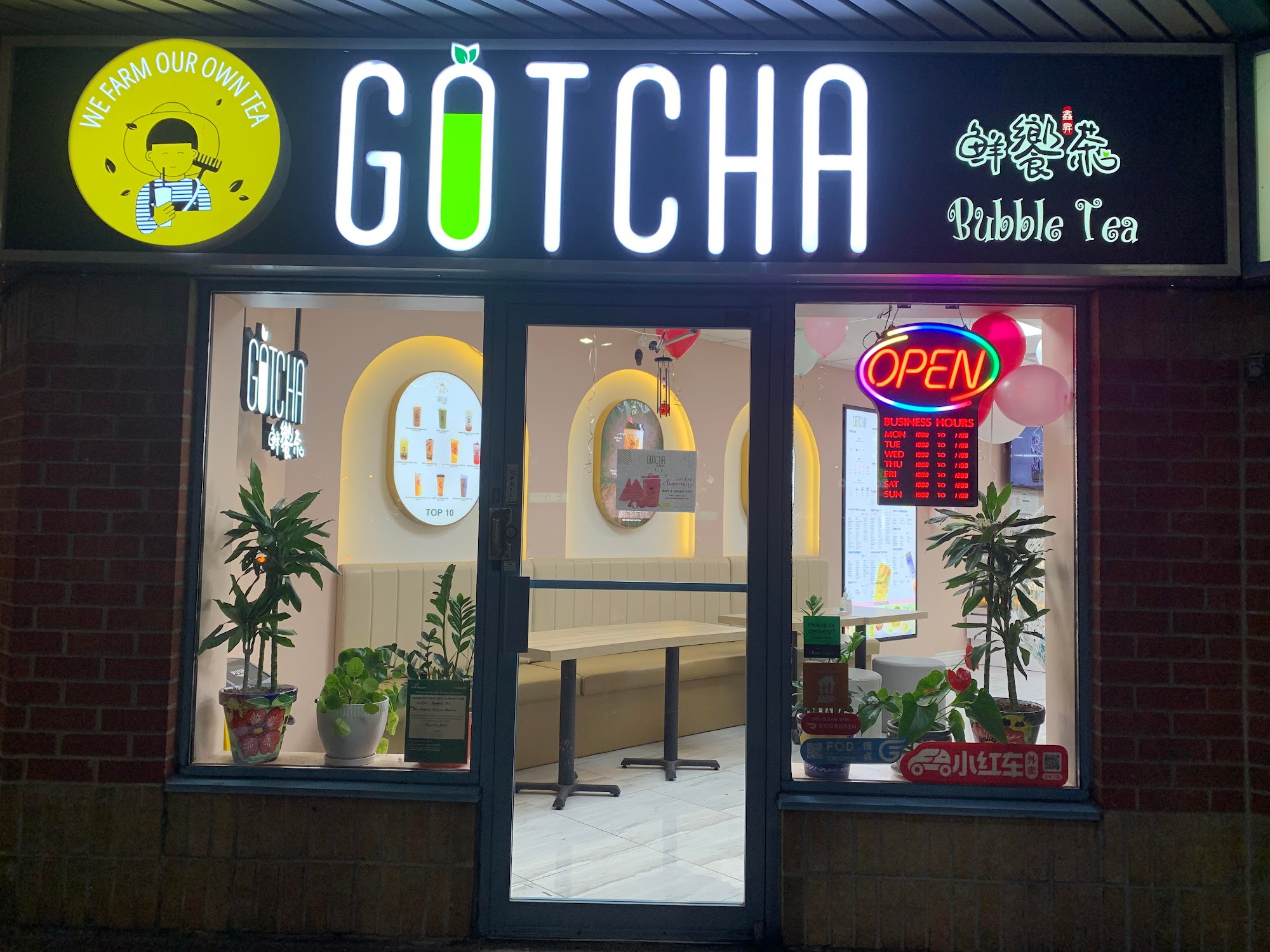 GOTCHA Fresh Tea- Thornhill