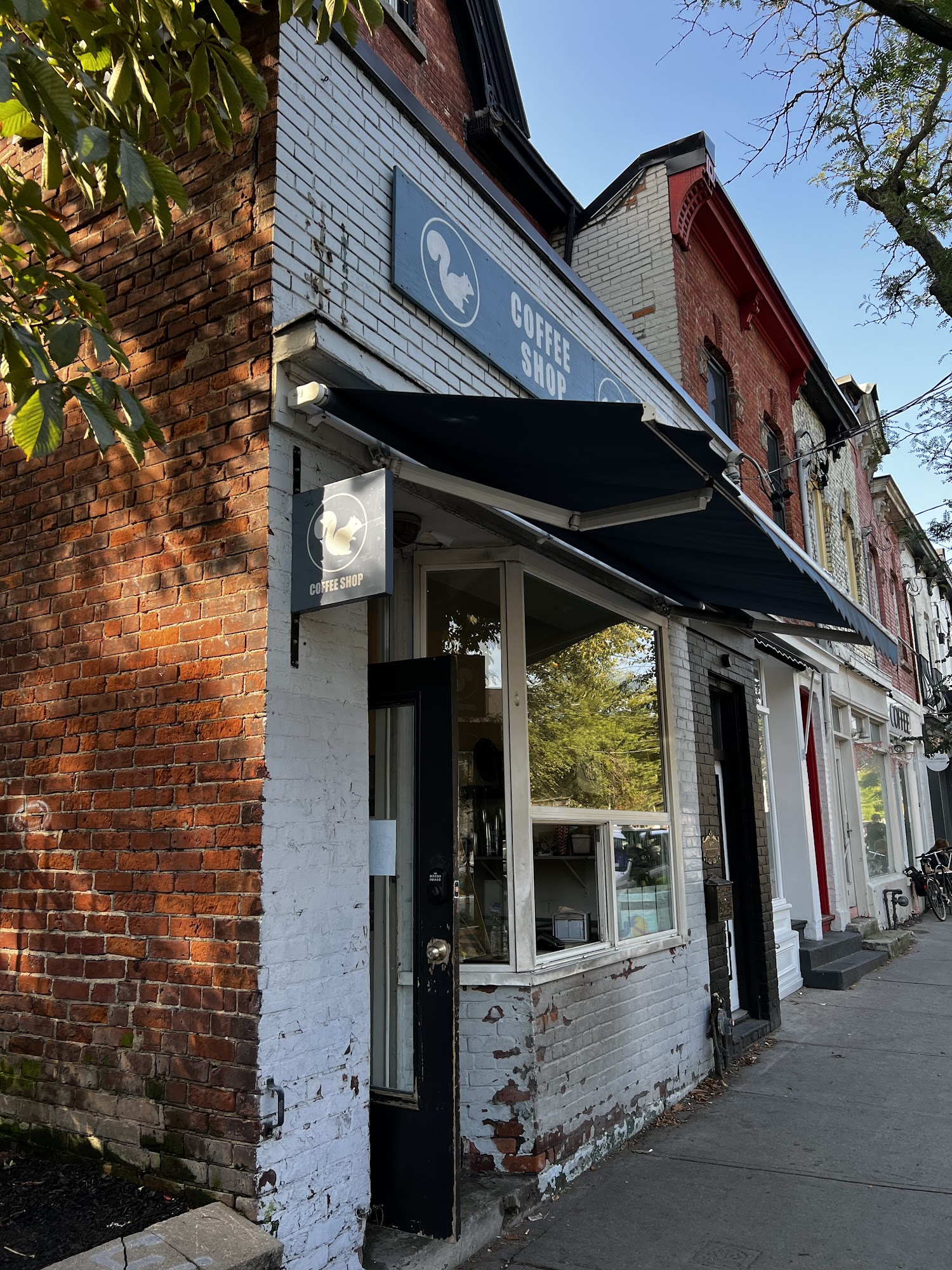 White Squirrel Coffee Shop