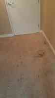 Kwik Dry Carpet Cleaning
