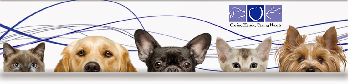 Wallaceburg Animal Hospital Wallaceburg