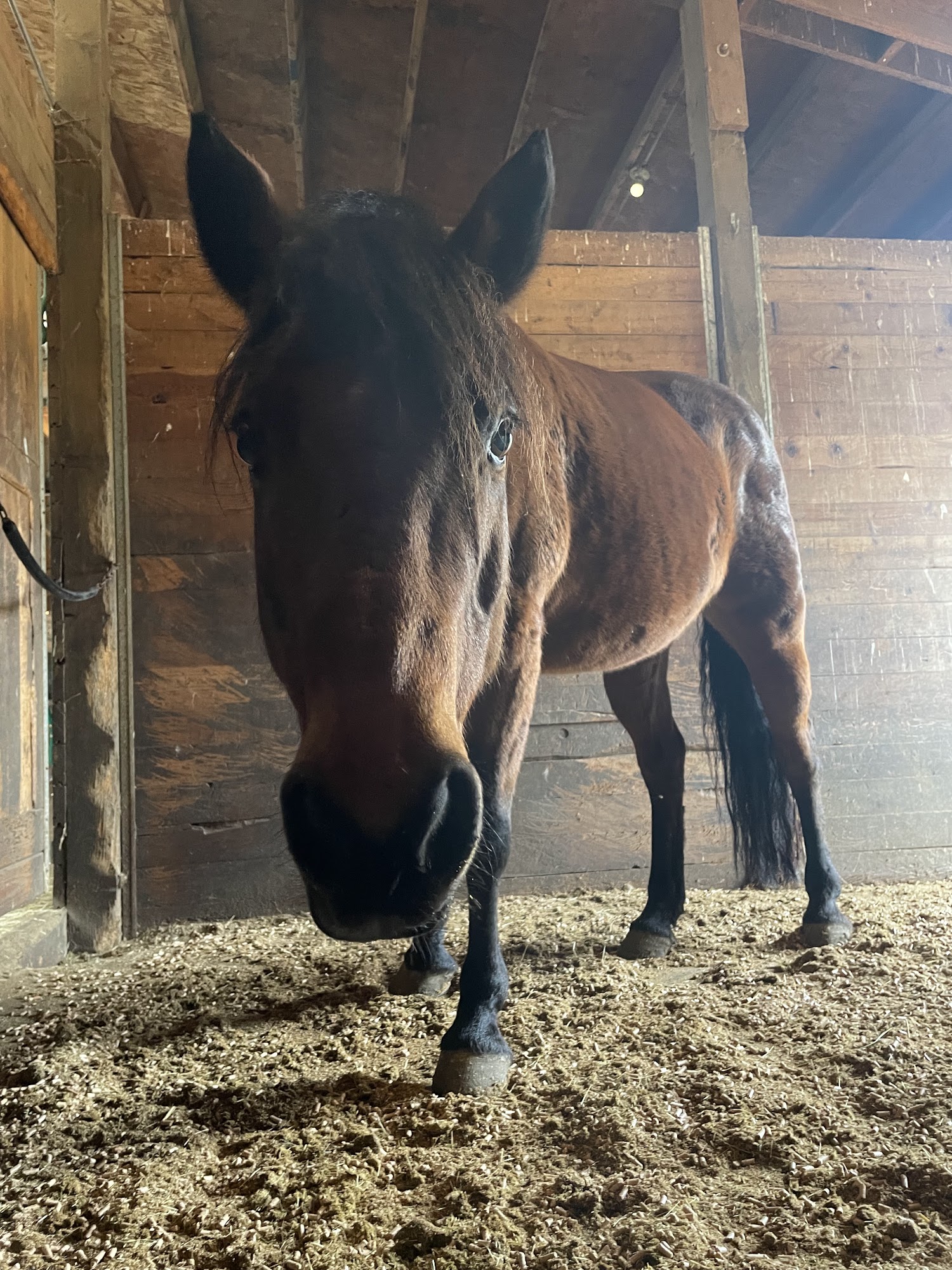 Stoneybrook Stable 26595 OR-224, Eagle Creek Oregon 97022