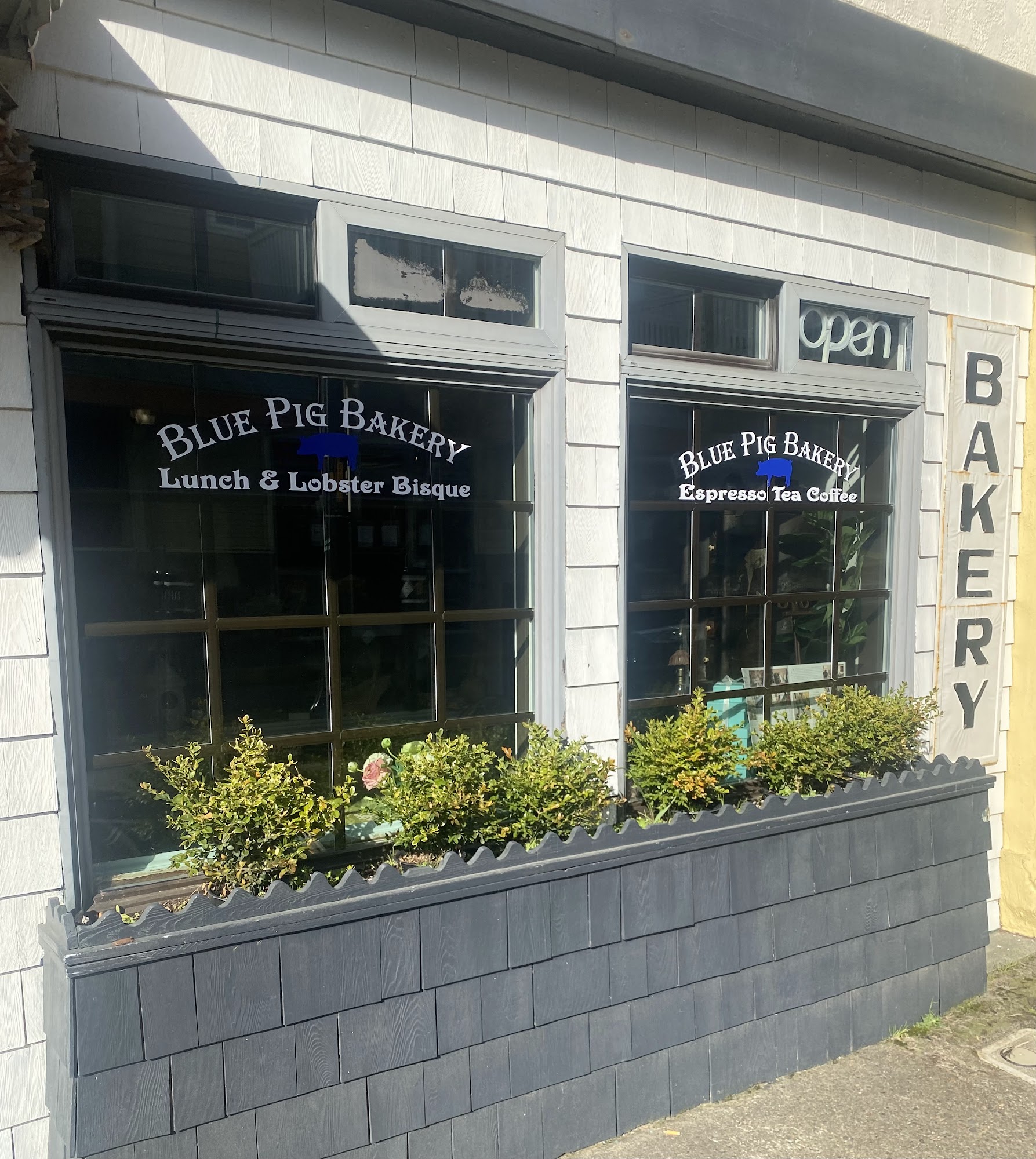 Blue Pig Bakery