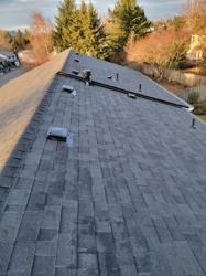 Predator Roofing & Construction