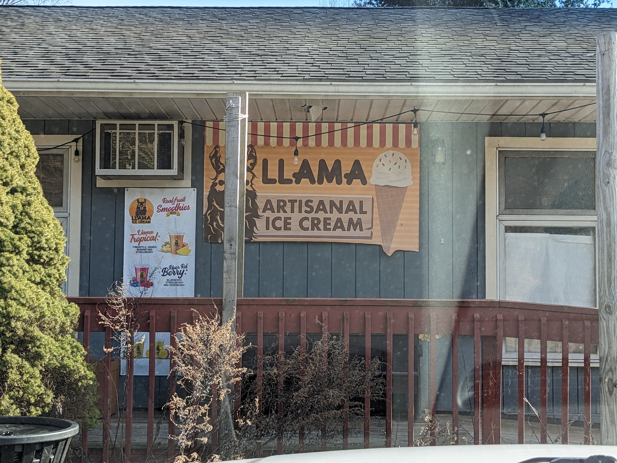 Llama Ice Cream