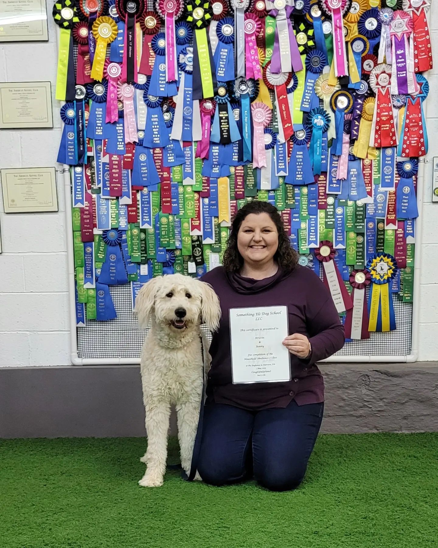 Something Els Dog School LLC Positive Reinforcement Dog Training 7789 W Ridge Rd, Fairview Pennsylvania 16415