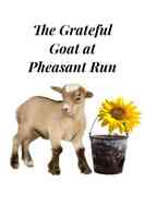 The Grateful Goat at Pheasant Run