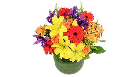 Blooms Brothers Flowers 17975 PA-706, Montrose Pennsylvania 18801