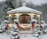 Albright's Glen Summit Floral