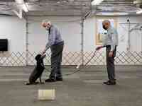 Paw & Hand Obedience