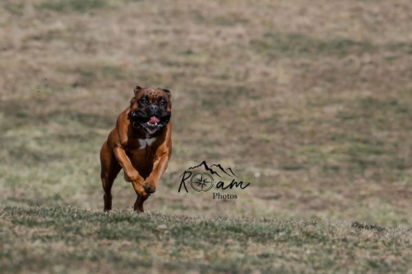 Photo credit: 