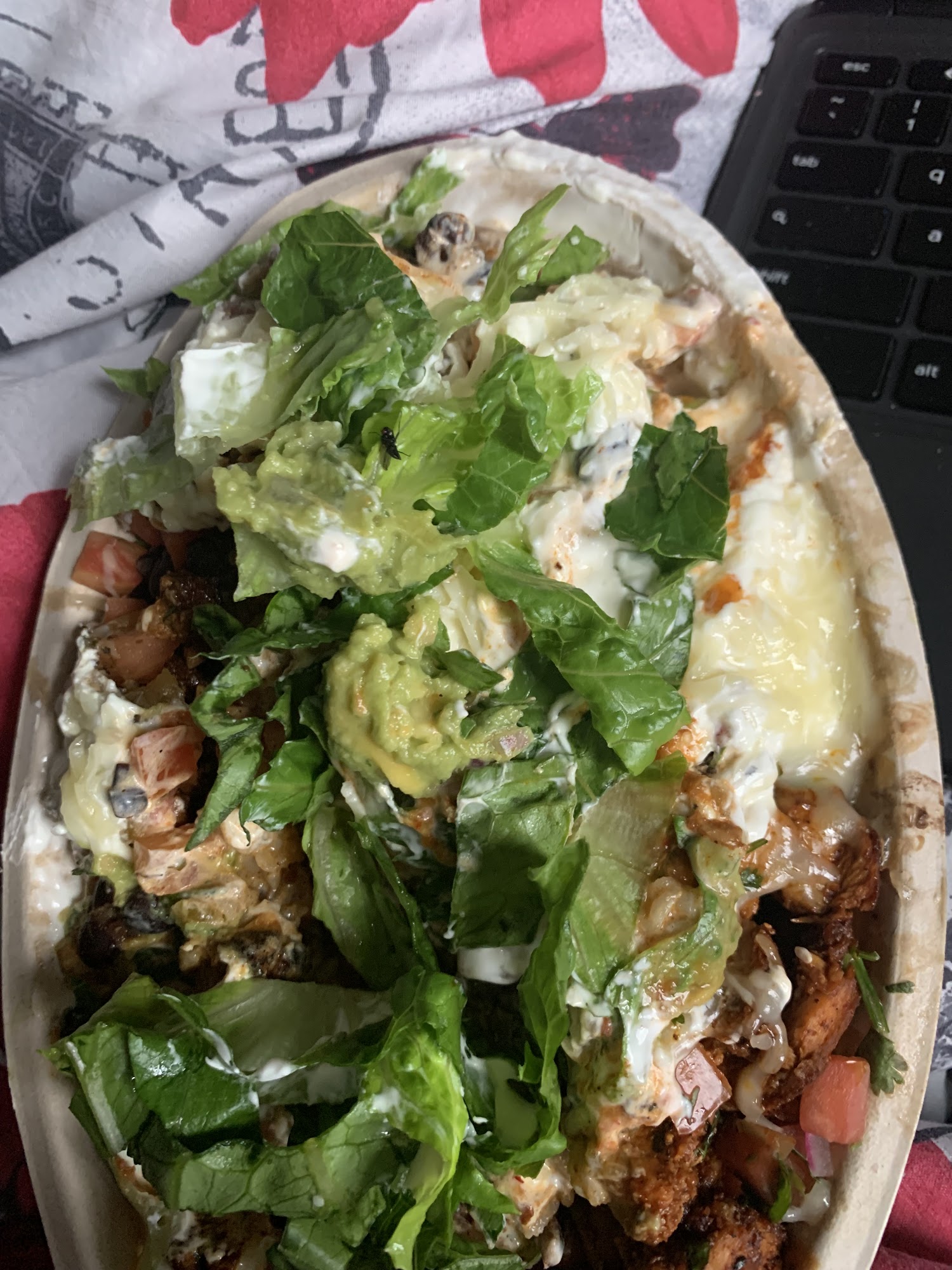 Chipotle Mexican Grill