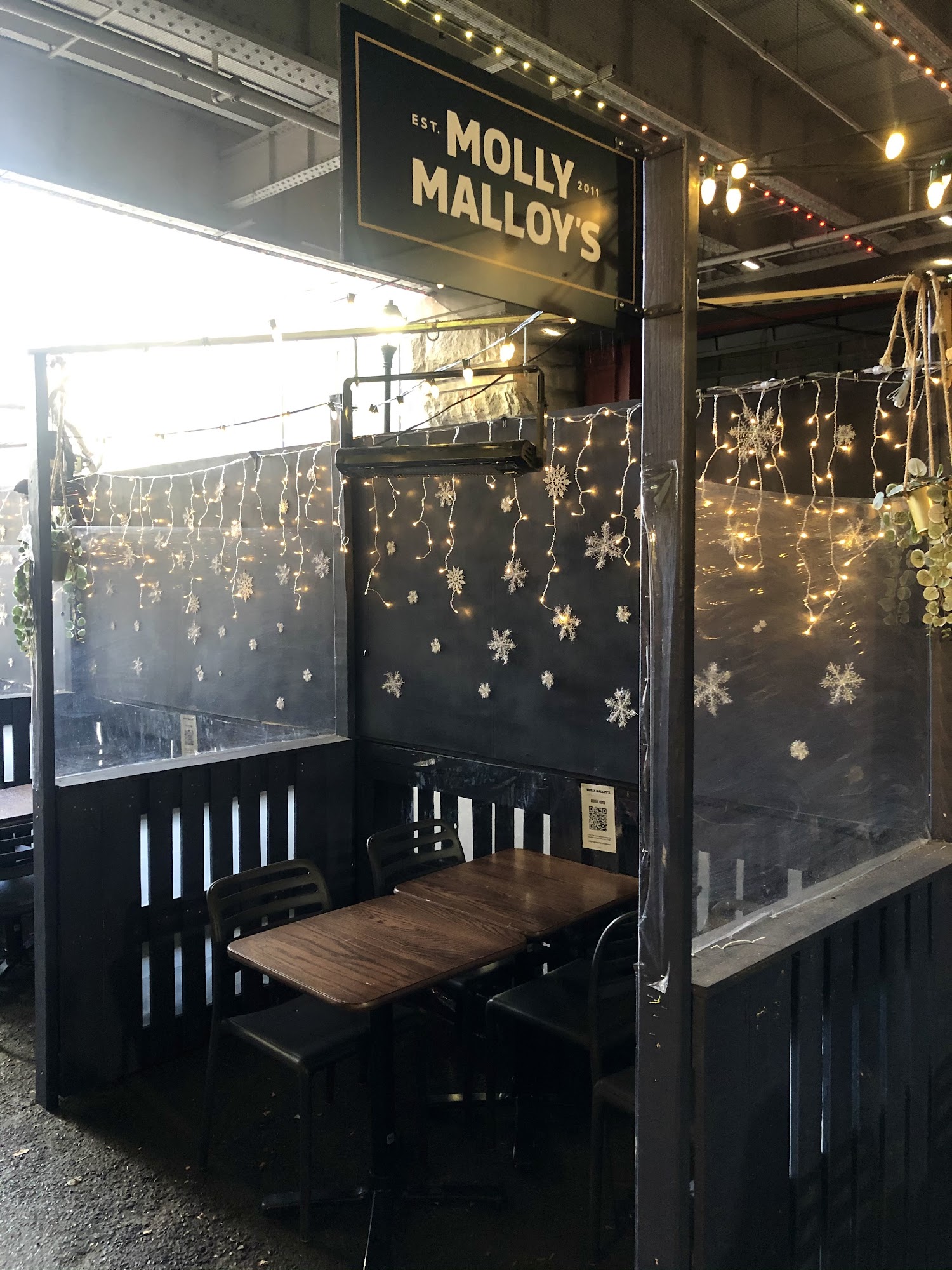 Molly Malloy's