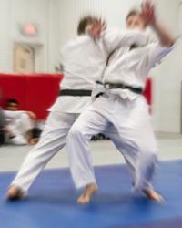 Mumon Karate