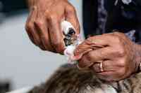 4 Legged Barber Shop