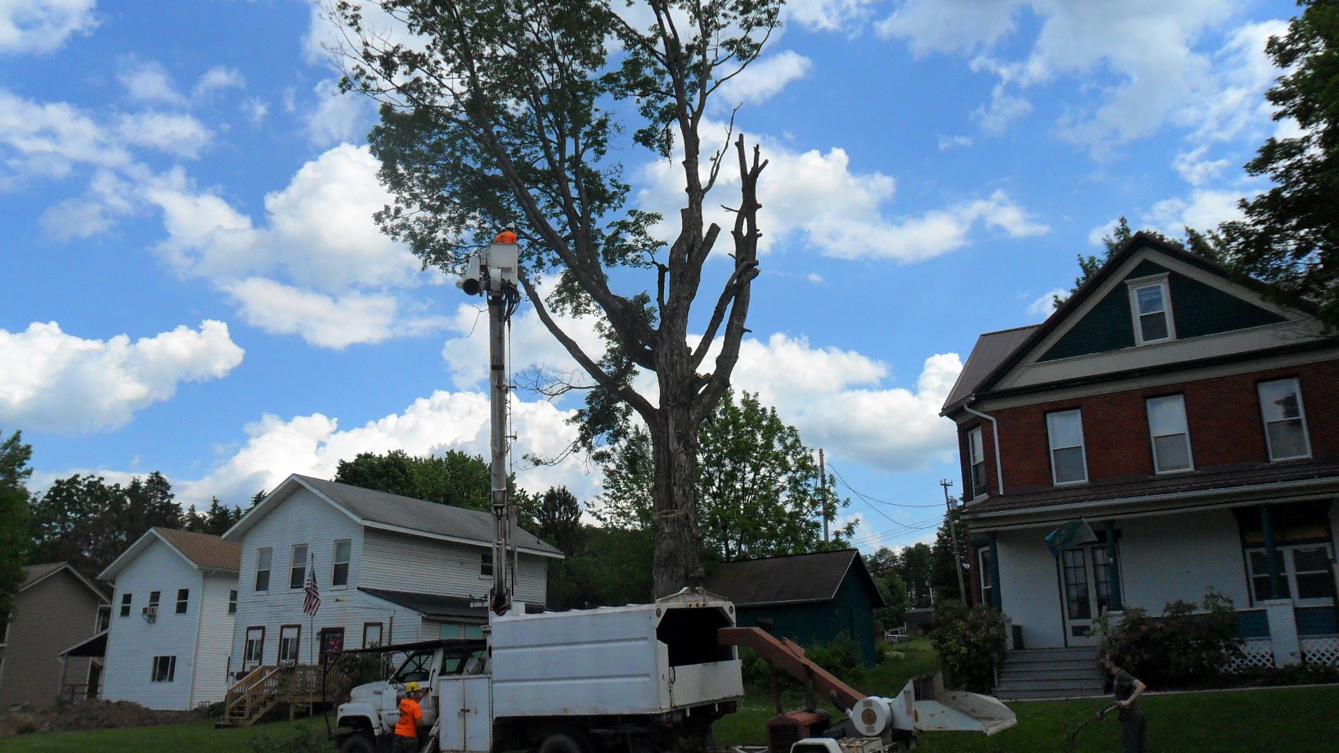 Bickel's Tree Service LLC 865 Underwood Dr, Strattanville Pennsylvania 16258