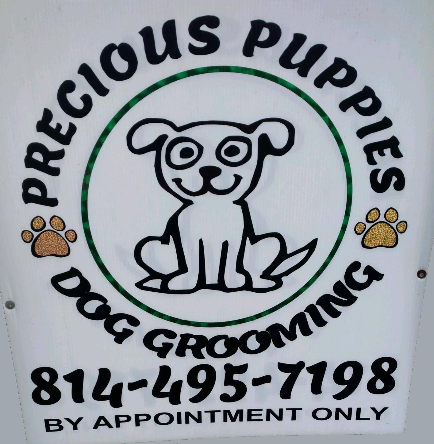 Precious Puppies Dog Grooming 1347 Railroad St, Summerhill Pennsylvania 15958
