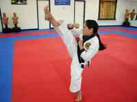 AmKor Karate Institutes