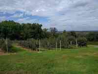 Preston Orchards