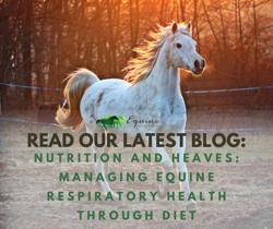Equine Medical and Surgical Associates