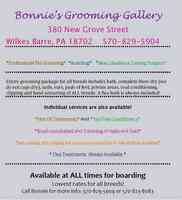 Bonnie's Groom Gallery