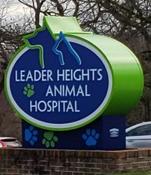 Leader Heights Animal Hospital: Pettigrew Ann C DVM