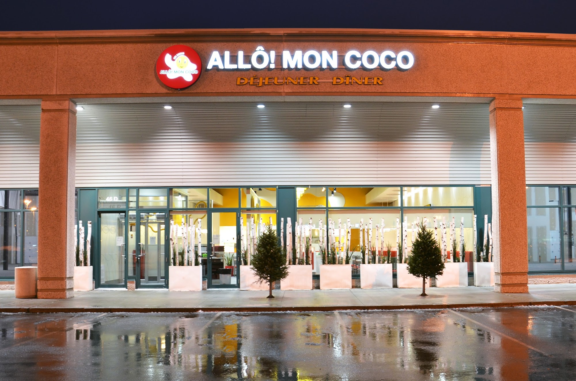 Allô mon Coco