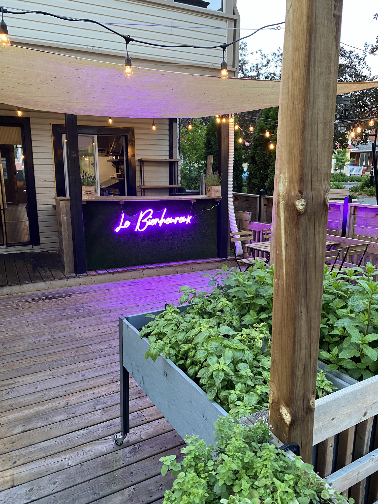 THE 15 BEST Restaurants in SainteAnnedeBellevue, QC With Menus