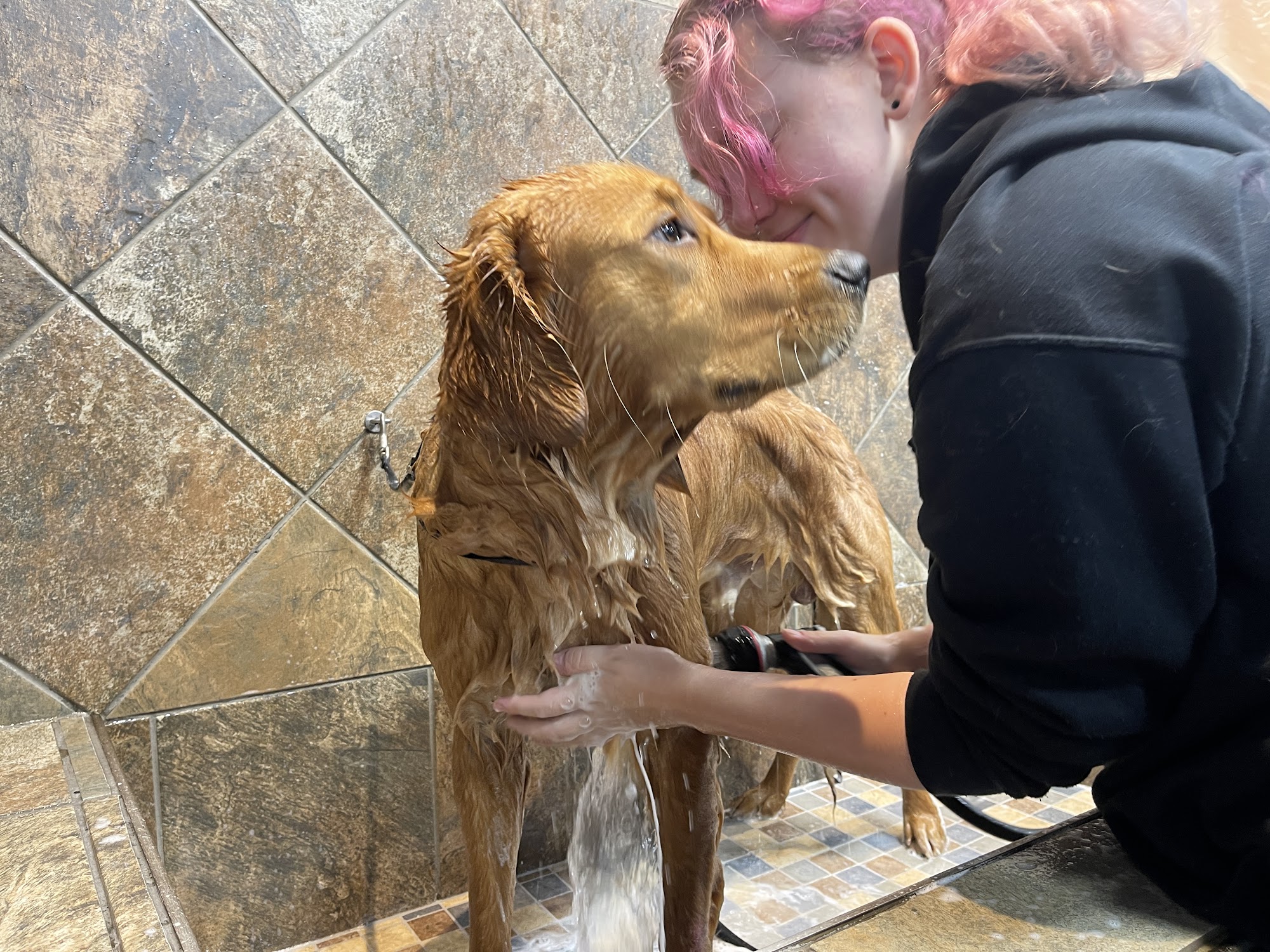 Rumford Pet Express Barrington
