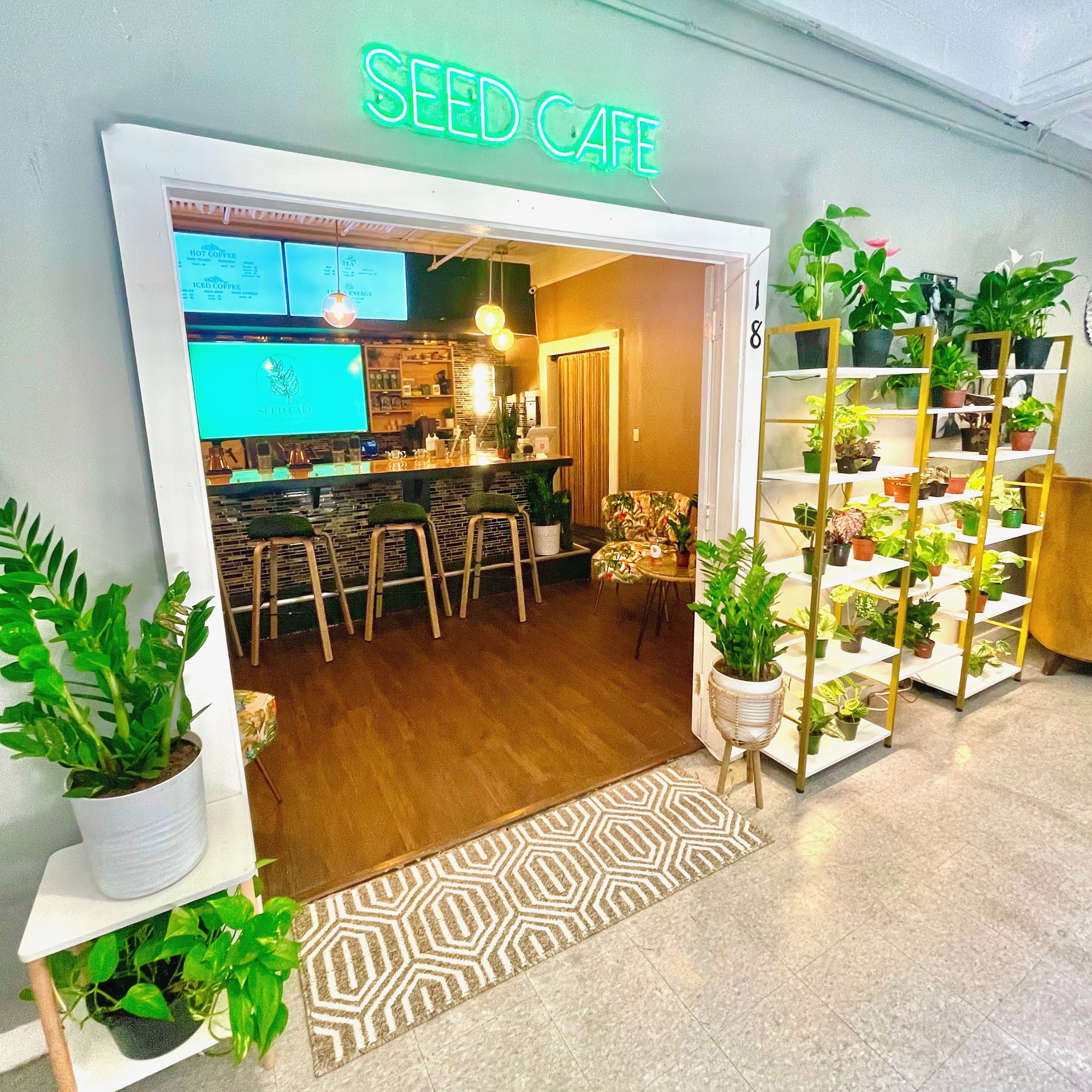 Seed Cafe and Espresso Bar