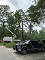 Yazmin Tree Service LLC