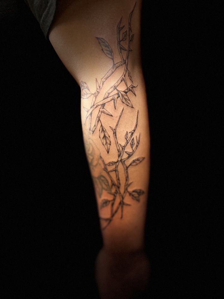 Photo credit: 