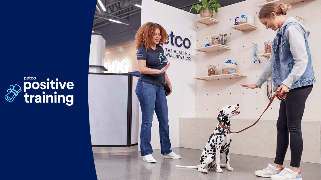 Petco Dog Training Greenville