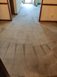 Matt's Coastal Carpet and Upholstery Cleaning