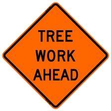 Elliott’s Tree service LLC 6847 Nicholson Dr, Mullins South Carolina 29574