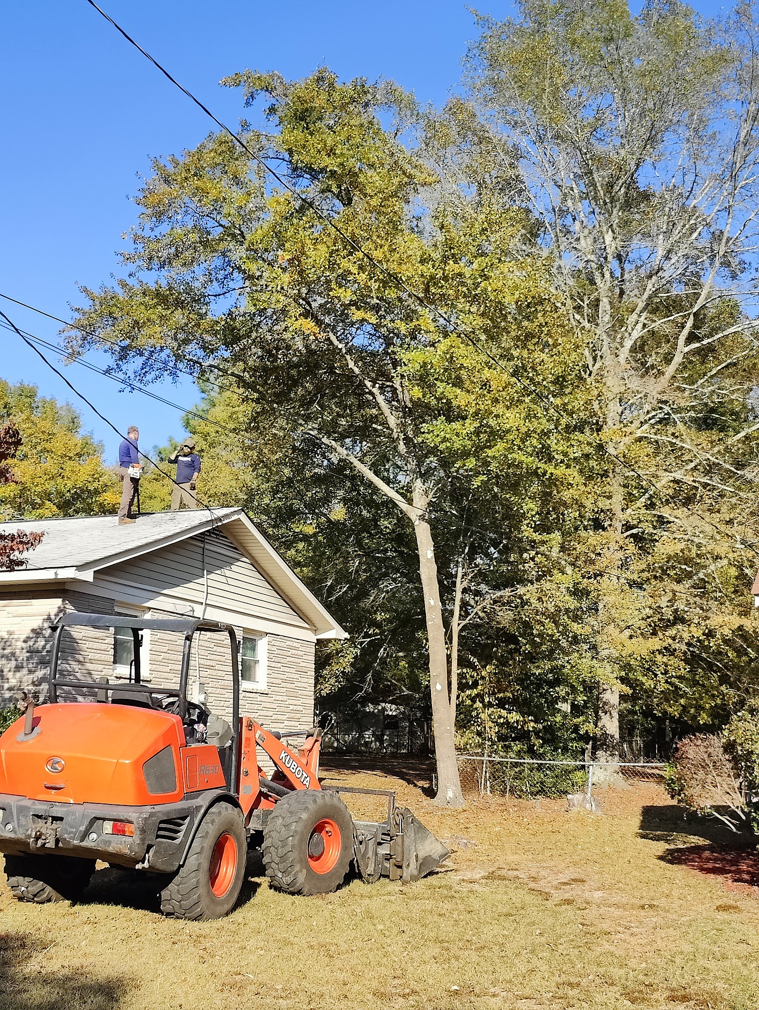 Professional Tree Service 1469 Old Charleston Rd, Pelion South Carolina 29123