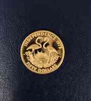 Golden Strip Coins