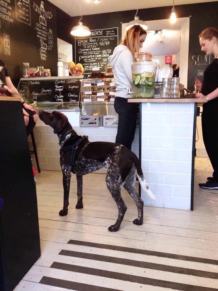 Photo credit: Yelp