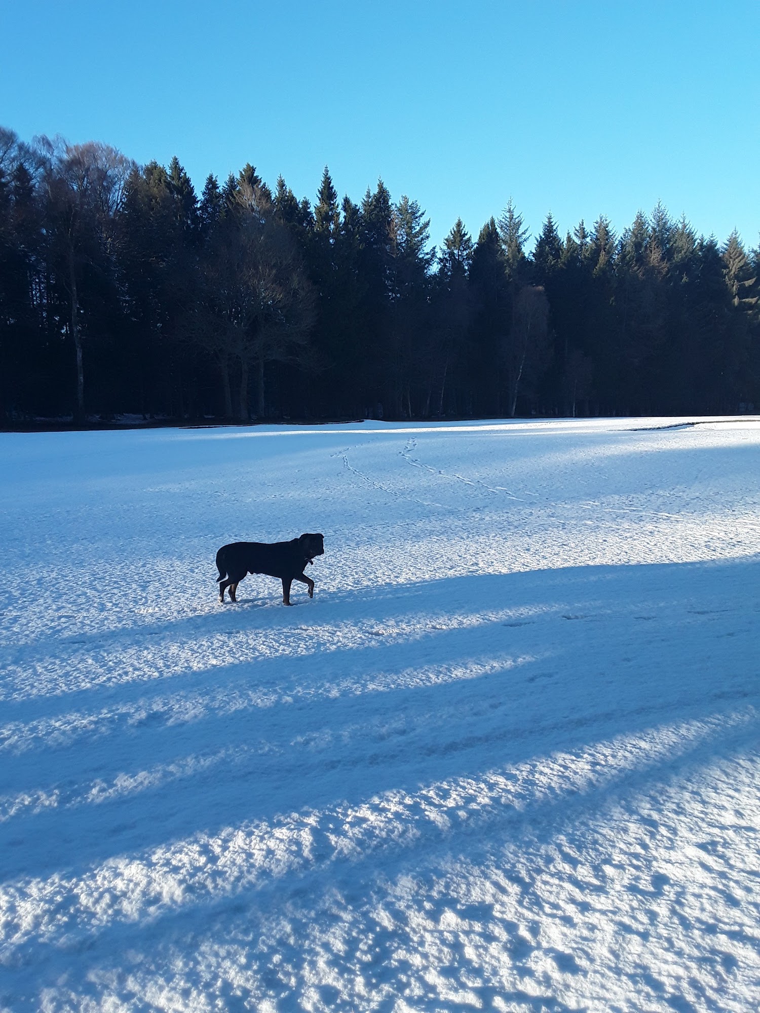 Downfield Golf Club