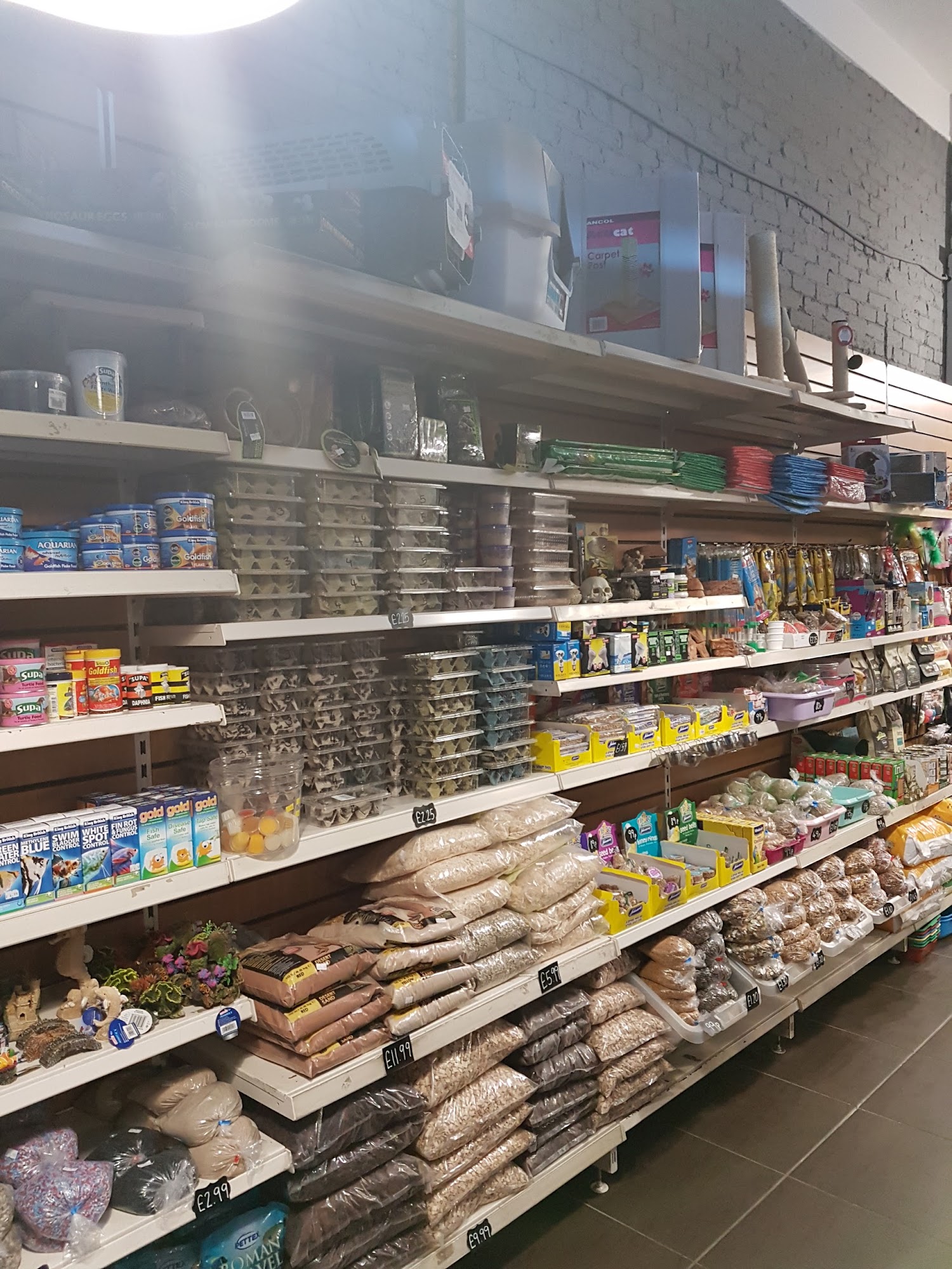 Olympia Pets East Kilbride
