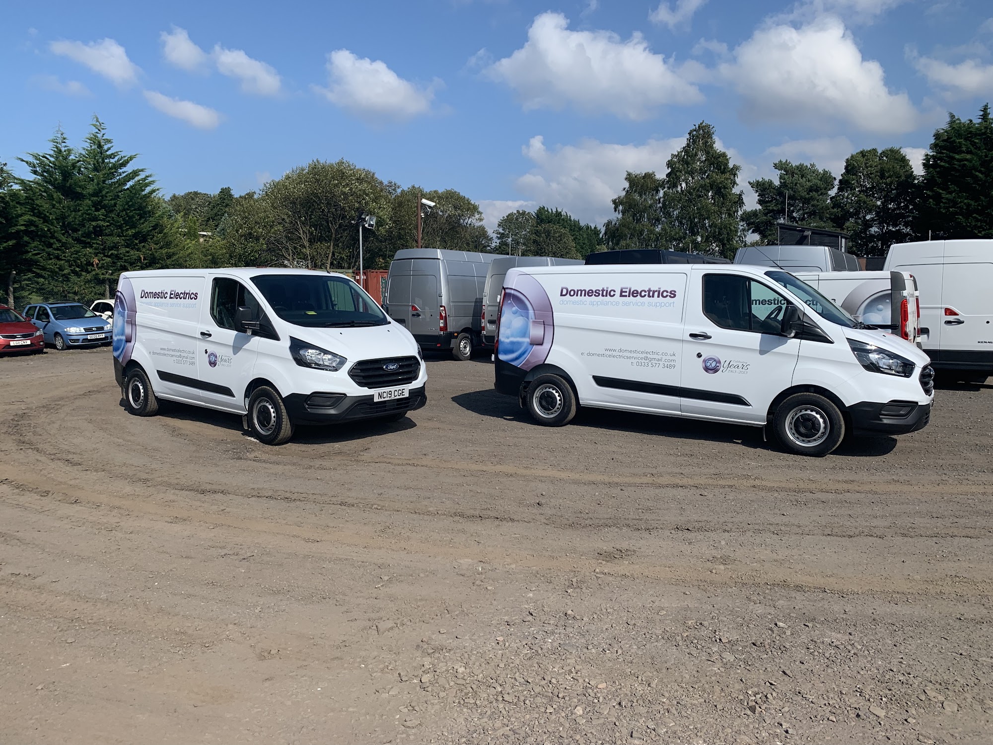 Domestic Electrics