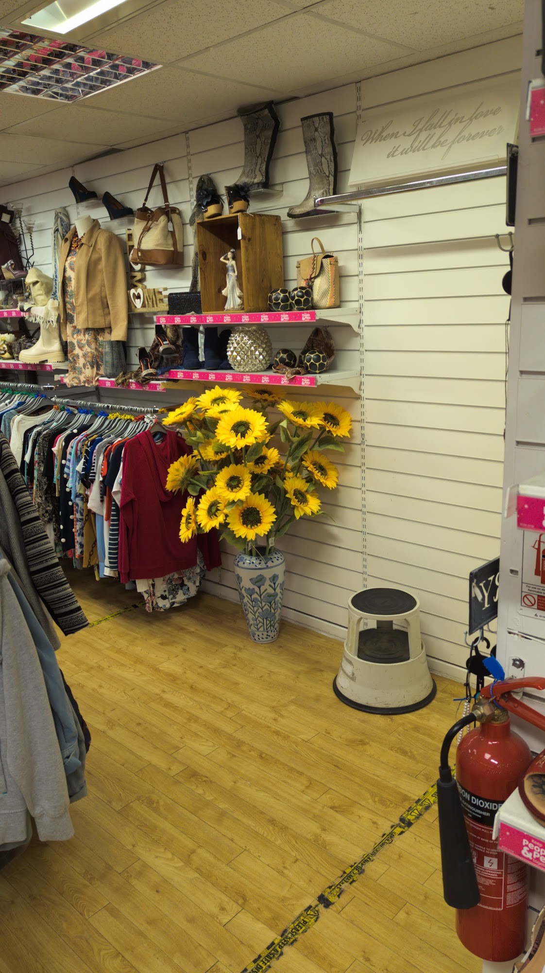 PDSA Glenrothes