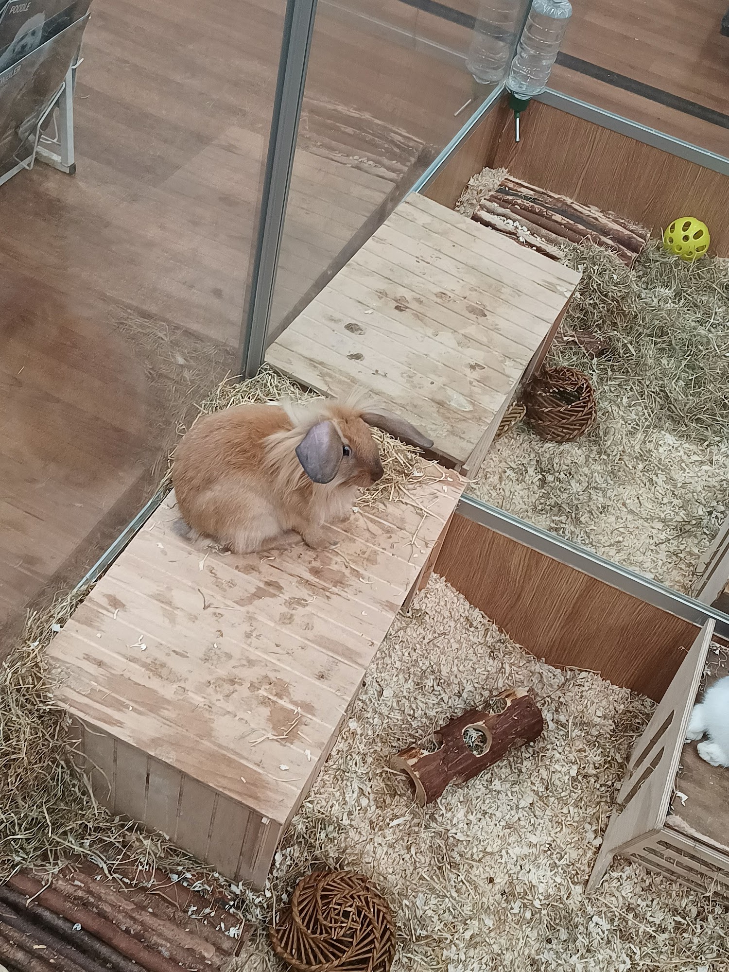Pets at Home Kilmarnock Kilmarnock