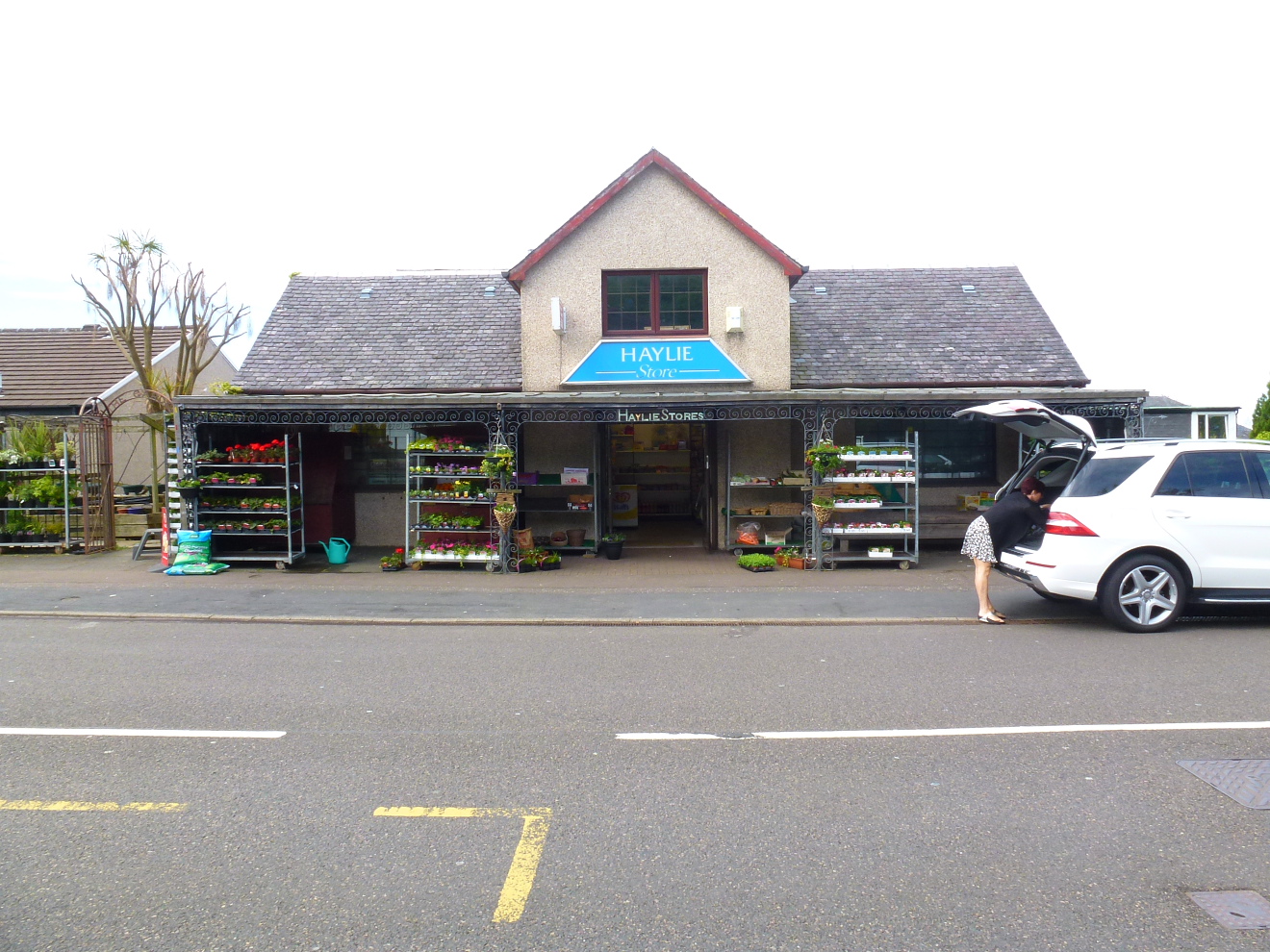 Haylie Stores
