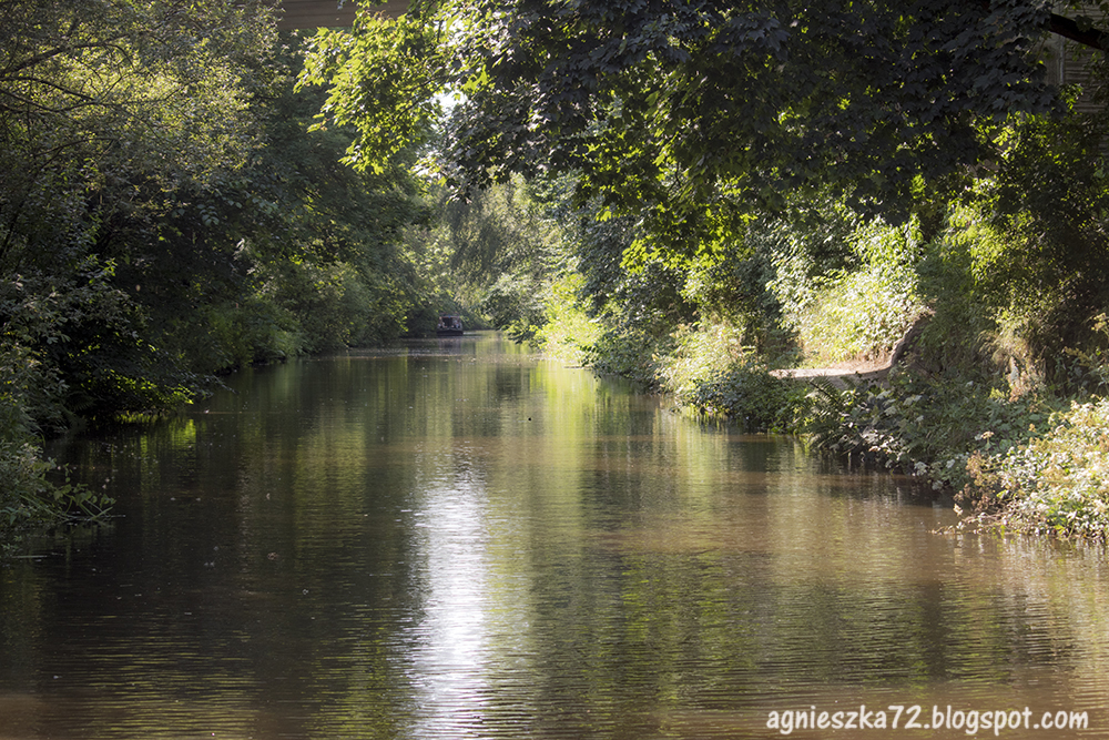 Seagull Trust Cruises Ratho branch